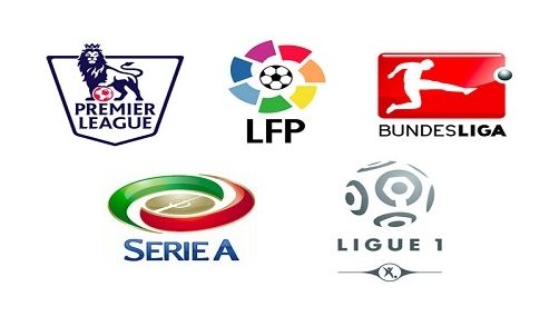 了高质量的 了高质量的